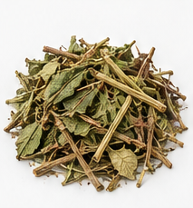 Andrographis — Dried slices