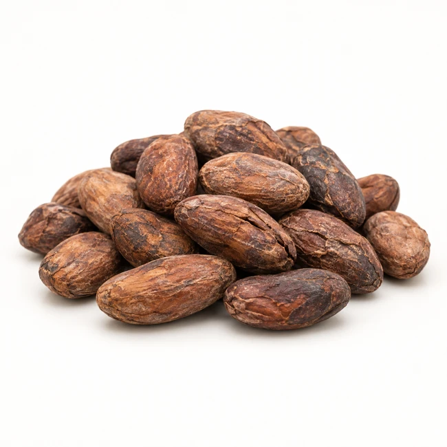 Cocoa — Dried beans