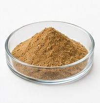 Ginger — Dry extracts