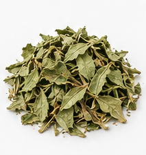 Moringa — Dried slices
