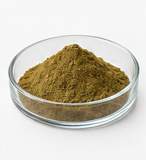 Moringa — Dry extracts
